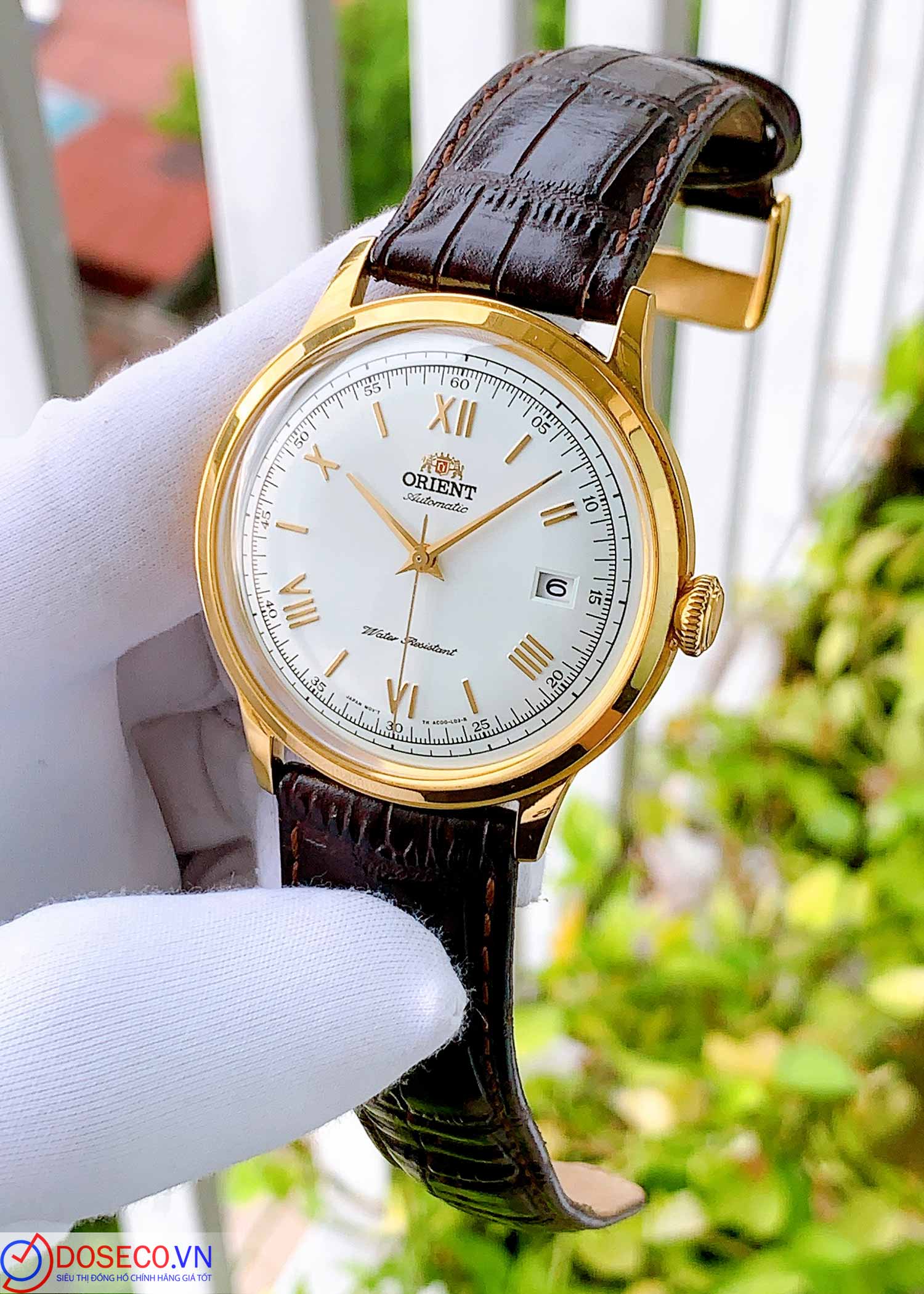 Used shop orient bambino